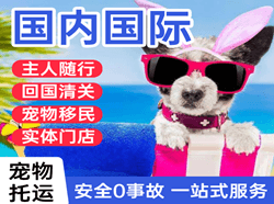东河航空物流国际宠物托运 【国